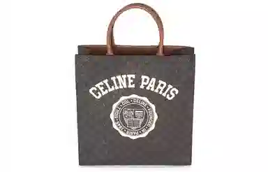 CELINE Triomphe Canvas Bag Brown