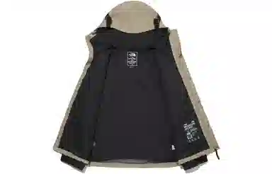 THE NORTH FACE Eco Gtx Logo