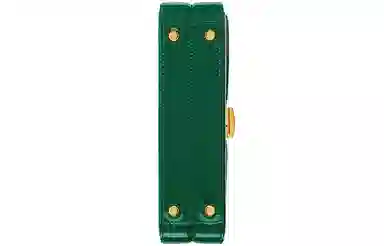 Gucci Sylvie 1969 Green