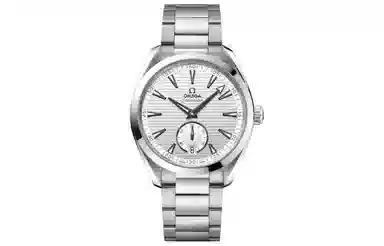 OMEGA AQUA TERRA 41mm 220.10.41.21.02.002