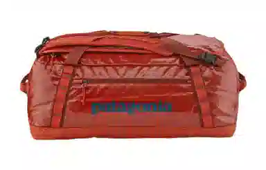 patagonia 55L Logo