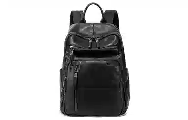 Ace Paul Travel Backpack Black