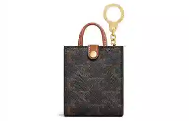 Celine Triomphe Canvas Mini Tote