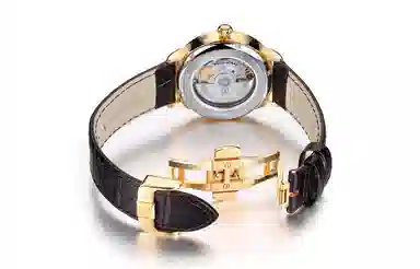 CODEX X 42mm 1135.03.0302.I05