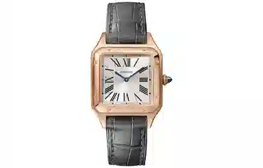 CARTIER 27.5*38mm 18K WGSA0022