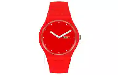 SWATCH 41mm SUOZ718