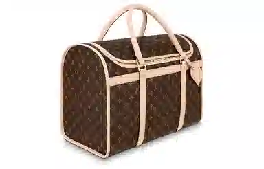 Louis Vuitton Dog Carrier 40