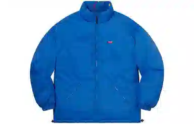 Supreme FW20 Week 5 Reversible Puffy Jacket