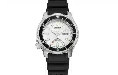 Citizen Promaster NY0118-11A