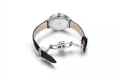 CODEX X 34.6mm 1207.11.0101.I01