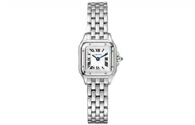 CARTIER 30 19mm 25*19mm WSPN0019