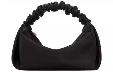 alexander wang scrunchie