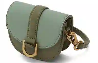 Charles & Keith Mini Saddle Crossbody