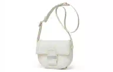 Charles & Keith Saddle Bag