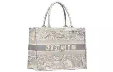 DIOR BookTote Tote