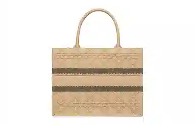 DIOR BookTote Tote