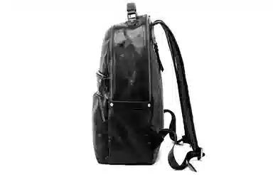 Ace Paul Backpack