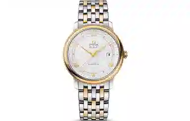 OMEGA 39.5mm 424.20.40.20.02.001