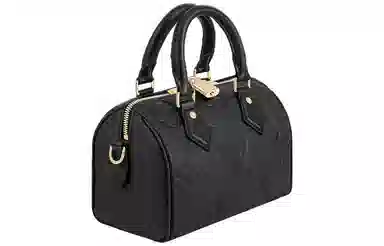 LOUIS VUITTON Speedy 20