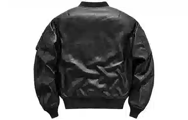 VIP CWU-45P