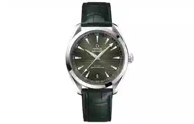 OMEGA AQUA TERRA 41mm 220.13.41.21.10.001