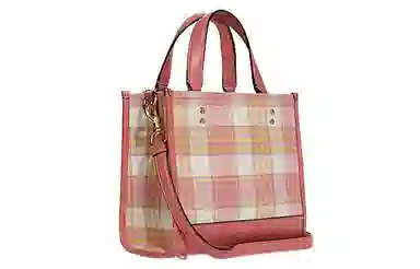 COACH Dempsey 22 Tote
