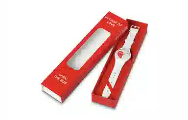 SWATCH 41mm SO29Z113