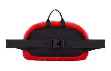 Supreme x The North Face FW20 Sling Bag