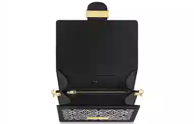 LOUIS VUITTON Dauphine MM