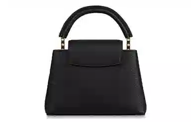 LOUIS VUITTON Capucines