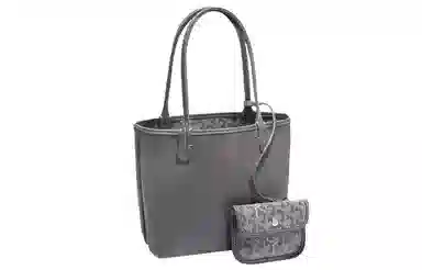Goyard Anjou Mini Grey