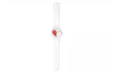 SWATCH 41mm SO29Z113