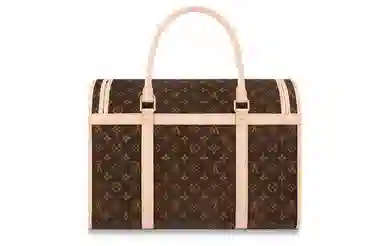 Louis Vuitton Dog Carrier 40