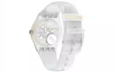 SWATCH 41mm SVIZ102