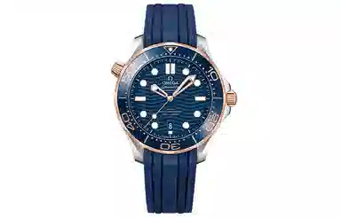 OMEGA Seamaster 210.22.42.20.03.002