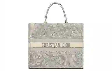DIOR BookTote Tote