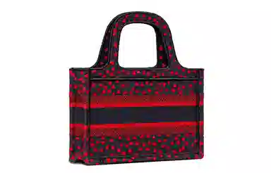 DIOR BookTote Tote