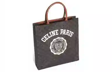CELINE Triomphe Canvas Bag Brown