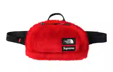 Supreme x The North Face FW20 Sling Bag