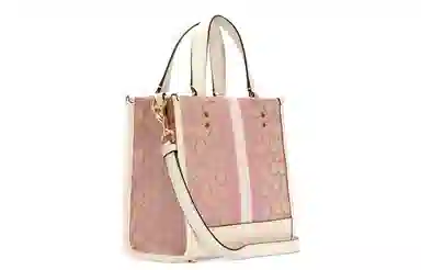 COACH Dempsey 22 Tote