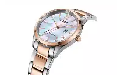 CITIZEN 41mm EW2456-88D