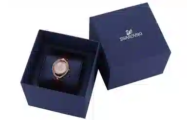 SwarovskiSwarovskiStella 5421822