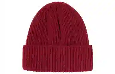 Stussy Small Patch Watchcap Beanie