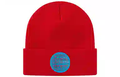 Supreme Lenticular Patch Beanie