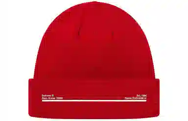 Supreme FW20 Week 5 New Era Shop Beanie