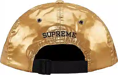 Supreme SS18 The North Face Metallic 6-Panel