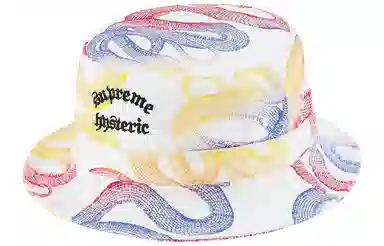Supreme HYSTERIC GLAMOUR Snake Denim Crusher