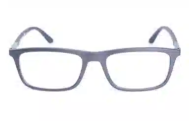 Emporio Armani 550EA4160