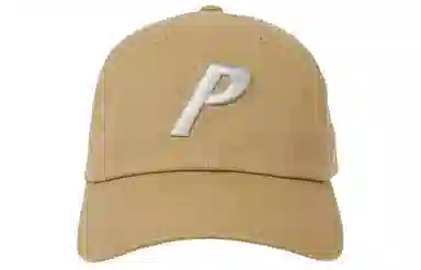 PALACE Summer Logo