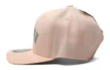 Jordan Baseball Cap Pink
